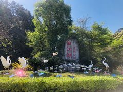 -广州白江湖森林公园