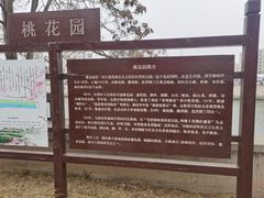 -桃花堤公园