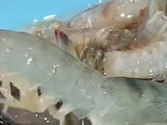 -万达广场(济南魏家庄店)