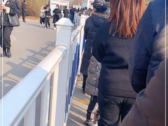 -首都医科大学附属北京地坛医院