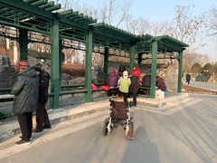 -西海子公园