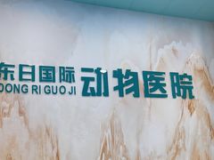 -东日国际动物医院·CT·心脏专科(桃源分院)