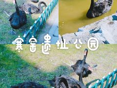 -西安曲江寒窑遗址公园