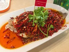 -杨氏青龙虾·羊蝎子(珠江路店)