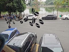 -OLD TREE老树咖啡·西餐厅(台山人工湖店)