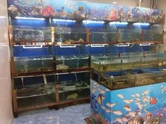 -望乡楼上海菜(日月光店)