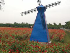 -兰陵国家农业公园