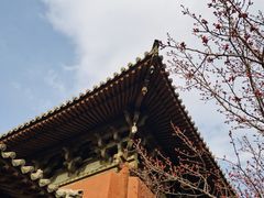 -善化寺