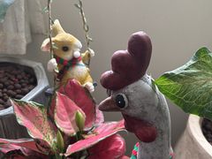 -Woolee韩食堂·韩式家庭料理