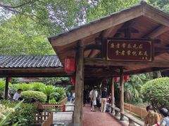 -金山公园