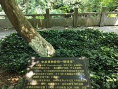 -善卷洞风景区