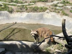 -宁波野生动物园