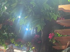 -草原塞蛮羊火锅城(港湾店)