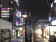 -宝健路步行街(Pedestrian Shopping Street)