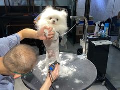 -宠物家(角门东店)
