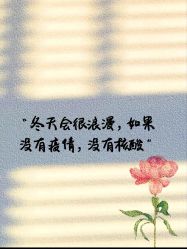 -Oasis Beauty水磨坊科技美肤中心