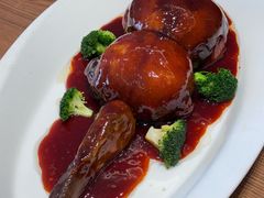 -丁老爷子苏香圆