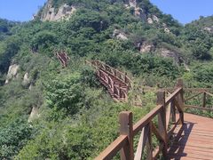 -大岭沟猕猴桃谷风景区