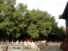 -北京国子监胡同