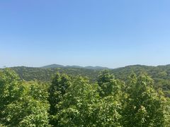 -宝界山林公园