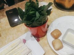 -清真军邺·金富苑肥牛(石坡街旗舰店)