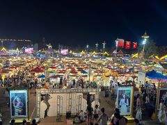 景点-告庄西双景