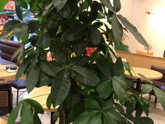 -德克士(宽甸店)