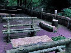 -碧峰峡风景区