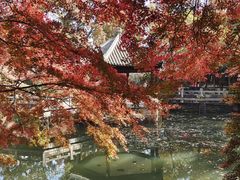 -虞山风景区