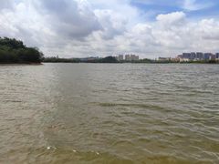 -松山湖南湖湾露营营地