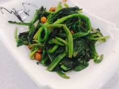 -楼兰印象(朝外店)