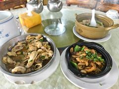 -佛冈鸽天下农庄