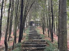 -梦姑塘文化公园