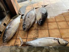 -尼甘布海鲜市场