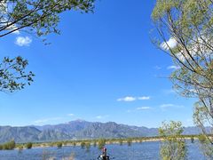 -野鸭湖国家湿地公园