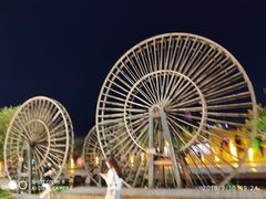 -印象鲵宴·张家界地标美食名片(溪布街店)