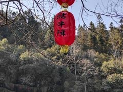 -石台牯牛降景区