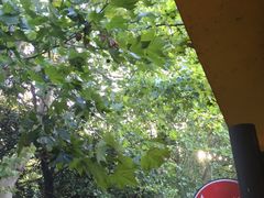 -柳湖小筑青年旅舍