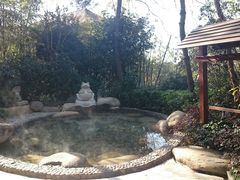 android_upload_pic-天目湖涵田半山温泉水乐园