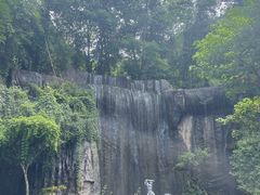 -西双版纳原始森林公园