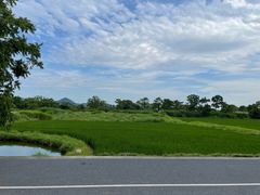-良渚文化村