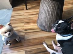 -上海崇明金茂凯悦酒店