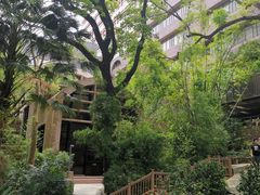 -香港大学
