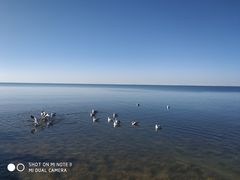 -青海湖仙女湾景区