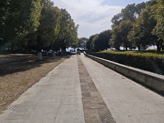 -漕湖湿地公园