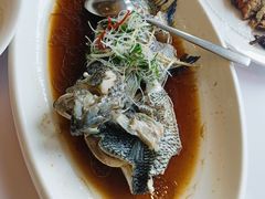 -骏莱海鲜鱼港(五角场店)