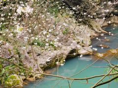 -华蓥山天意谷景区