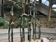 -香港大学