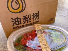 -油梨树AVOCADO TREE(顺义新国展店)