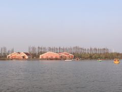 景点-上海长兴岛郊野公园